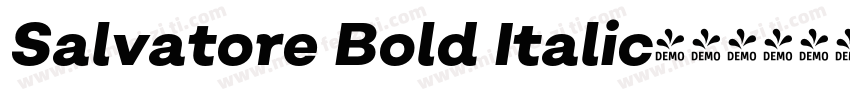 Salvatore Bold Italic字体转换